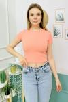 153945 Kisa Kol Kaskorse Crop Tshirt